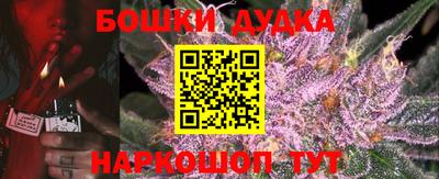 шишки Пугачёв