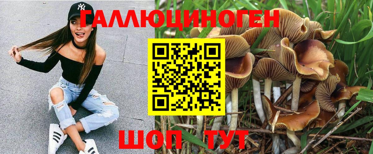 Галлюциногенные грибы мицелий  Вход с VPN  Галлюциногенные грибы Psilocybe  Павлово 
